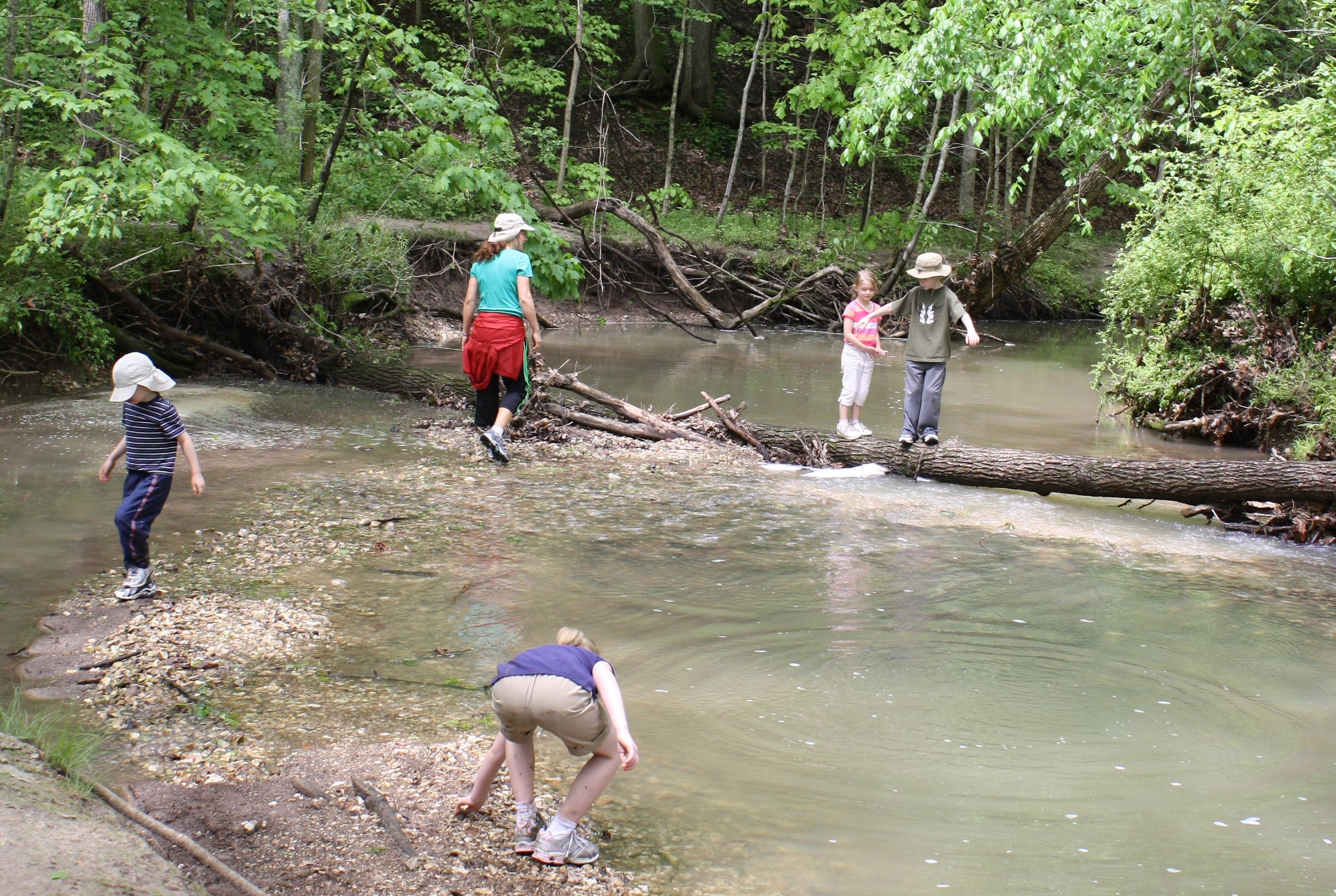 2010_05_01 JC and Hammond boys in creek at Rock Bridge SP.JPG